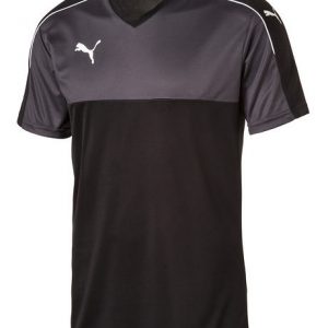 Pánske športové tričko Puma